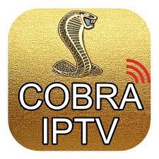 1 year cobra iptv