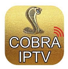 1 year cobra